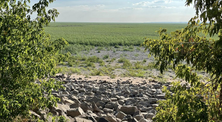 На місці Каховського водосховище відбувається те, чого нема більше ніде в світі, - вчені